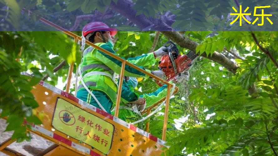 mile·米乐m6：网球拍什么颜色的好看耐打