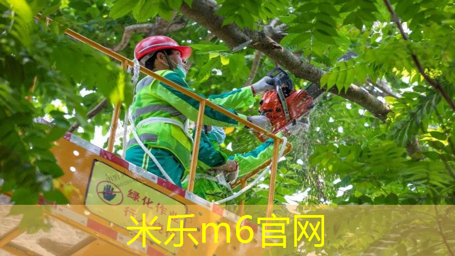 乒乓球台的标准长度是