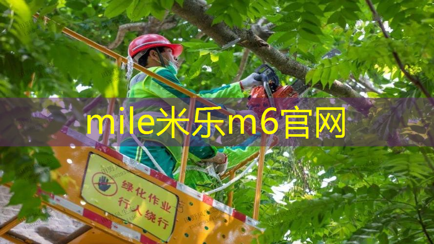 米乐m6官网登录入口：乒乓球台内小球是什么材质