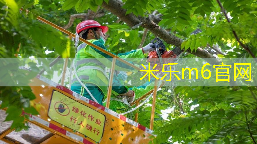 mile米乐m6官网：别样运动体验！塑胶跑道材料新国标赋能未来跑道建设！