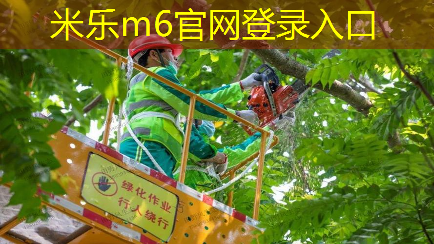mile·米乐m6：器材训练篮球