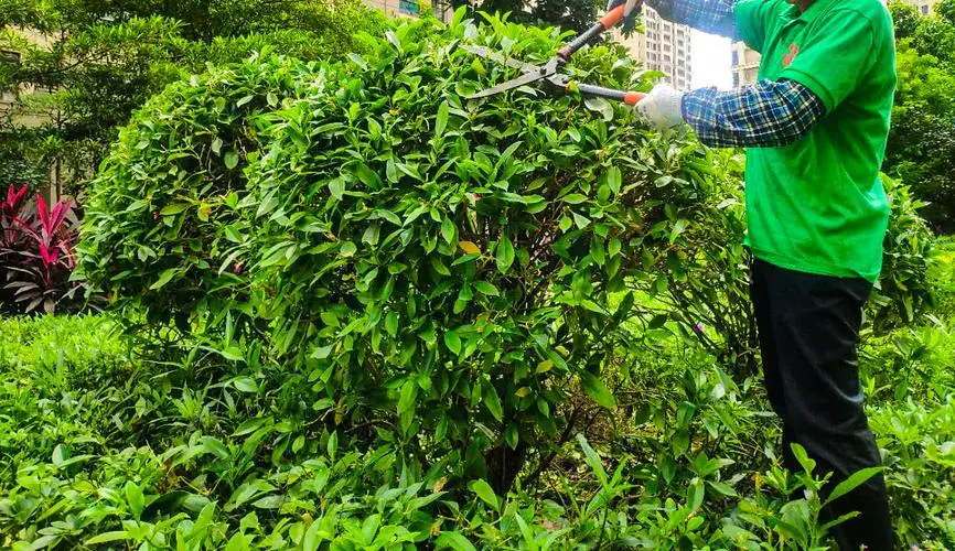 轻量化网球拍怎么样用好
