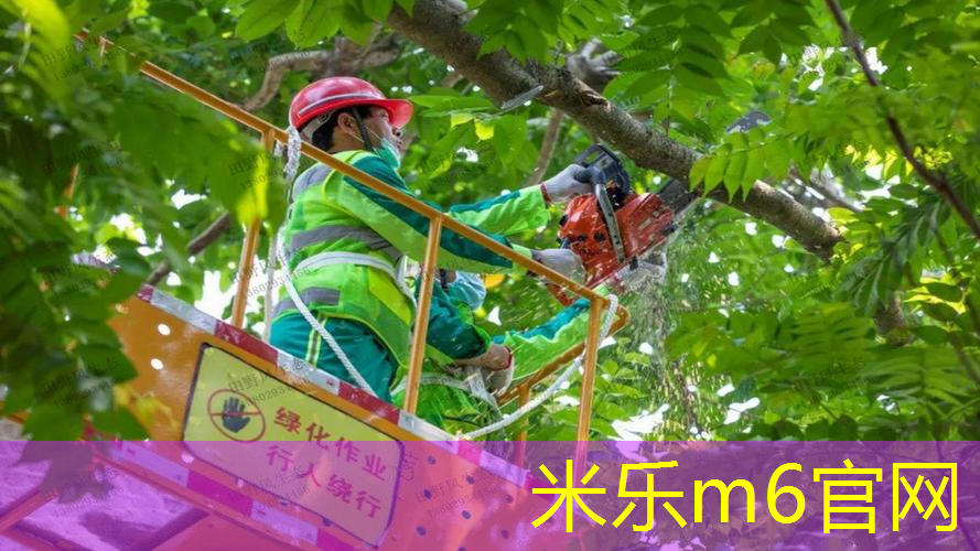 网球拍什么颜色的好看耐打