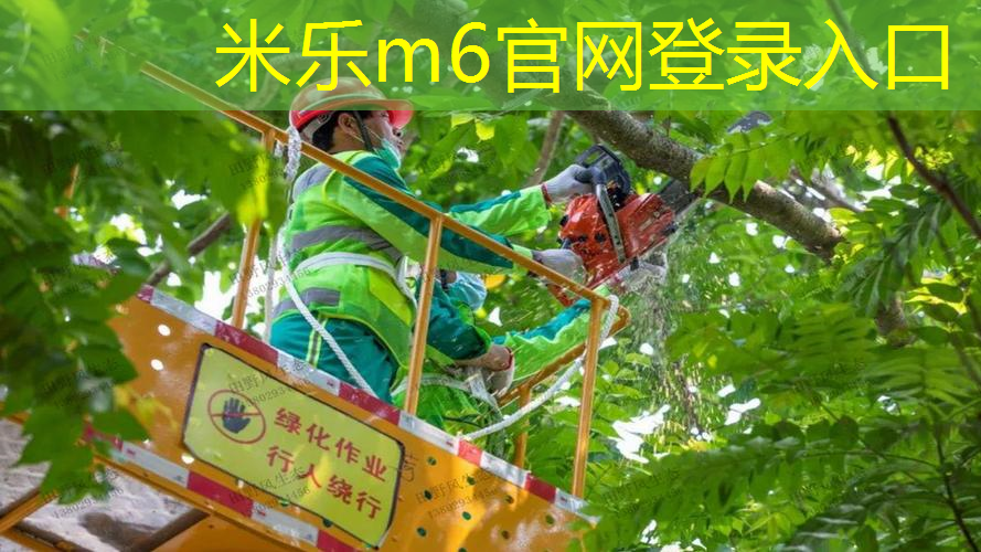 乒乓球台十万