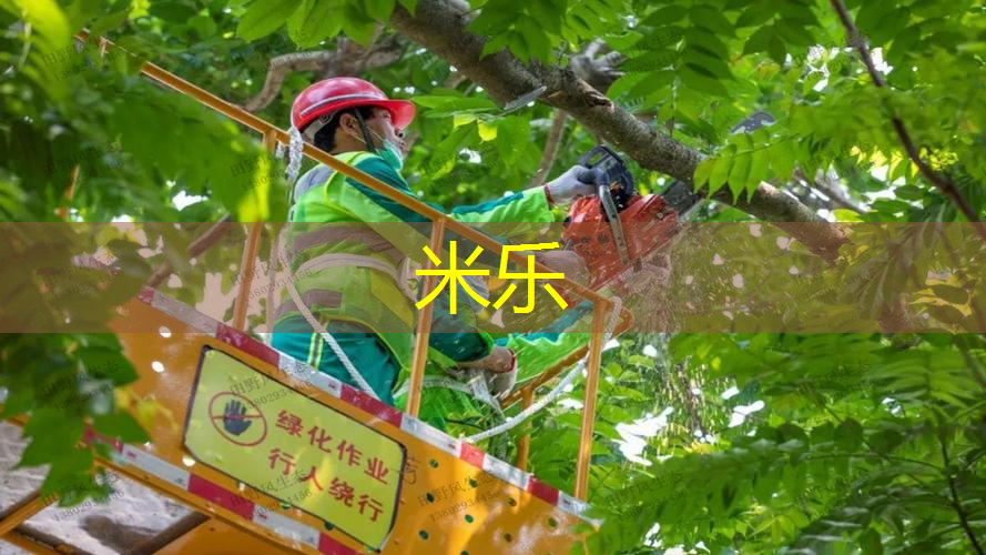 乒乓球台内小球是什么材质