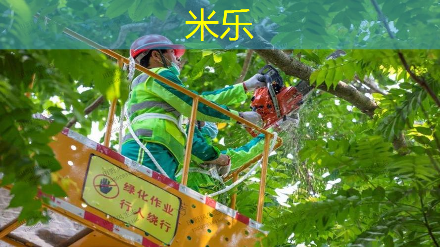 别样运动体验！塑胶跑道材料新国标赋能未来跑道建设！