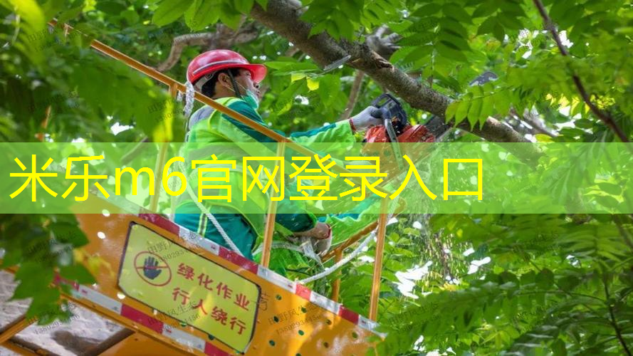 室内健身动作热身