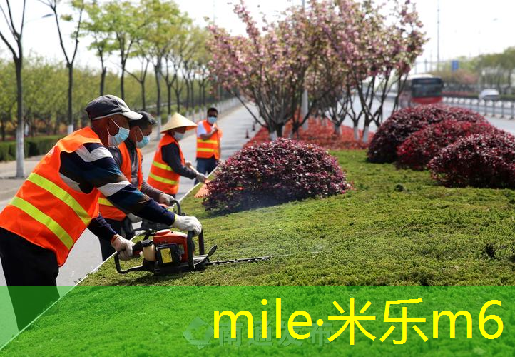 塑胶跑道材料选取的科学依据有哪些？